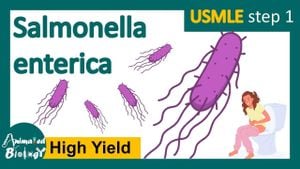 Long Non-Coding RNA Gm17586 Found To Combat Salmonella-Induced Cell Death