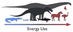 Dinozorlar Ne Sıcakkanlıydı, Ne De Soğukkanlı: ''Ilıkkanlı'' Dinozorlar!