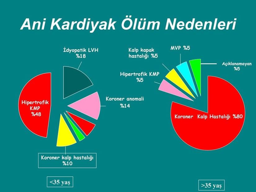 Ani kardiyak ölüm nedenleri ve yaşa bağlı olarak değişen bulgular