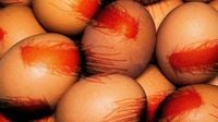 Salmonella outbreak: Recalled eggs sold at Walmart, Safeway, and elsewhere sicken people in 7 states