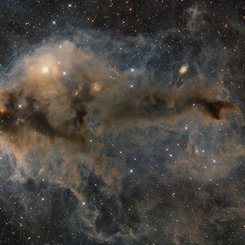 Lynds Karanlık Bulutsusu 1251