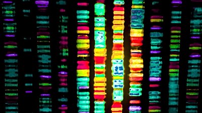 Genomu Dizilenen Tür Sayısı Katlanarak Artıyor!