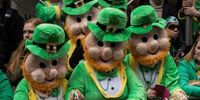 What is the best way to celebrate St. Patrick's Day?