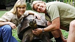 Charles Darwin ve Steve Irwin'in Kaplumbağası Harriet!
