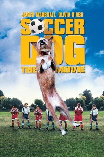 Şampiyon Köpek