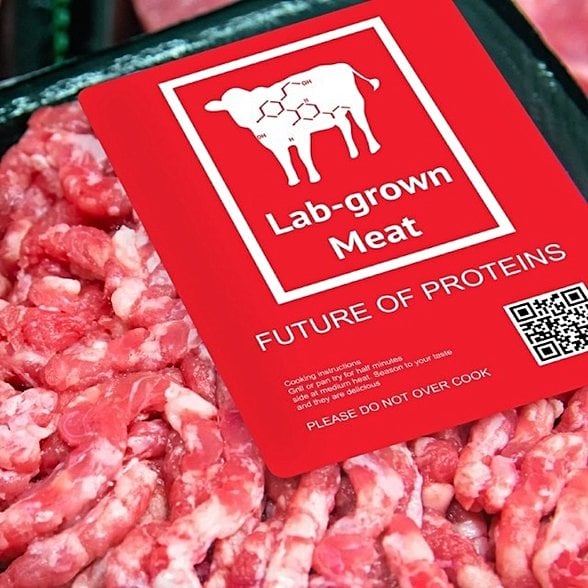 Hayvansal kaynaklı olmayan et