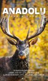 Anadolu Kadim Doğa