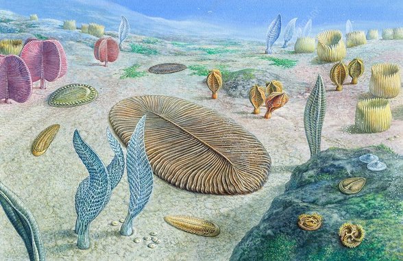 Ediakara hayvanları