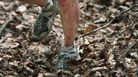 22 hours into the 2025 Barkley Marathons, only 6 runners remain in the – will anyone actually finish?