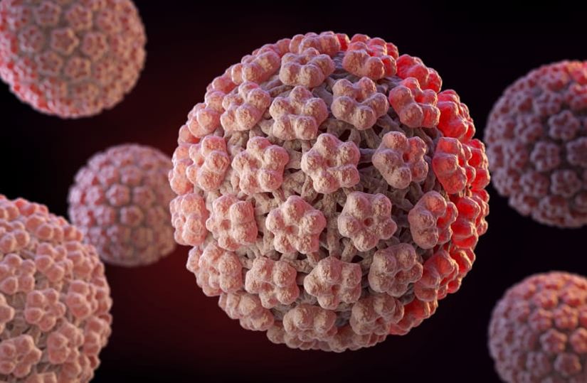 HPV Virüsünün Gösterimi