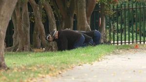 Teenage Boy Shot In North London Remains Critical