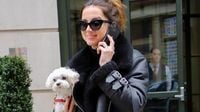 Los perros de Ana de Armas y Tom Cruise, romántico paseo en helicóptero