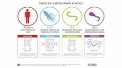 Hayvanlarda Kan Renginin Evrimsel Kökeni ve Adaptif Önemi