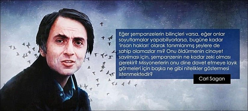 "Eğer şempanzelerin bilinçleri varsa, eğer onlar soyutlamalar yapabiliyorlarsa, bugüne kadar 'insan hakları' olarak tanımlanmış şeylere de sahip olamazlar mı? Onu öldürmenin cinayet sayılması için, şempanzenin ne kadar zeki olması gerekir? Misyonerlerin onu dine davet etmeye layık görmeleri için başka ne gibi nitelikler göstermesi istenmektedir?"  Carl Sagan