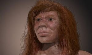 New Discoveries Illuminate Complex Human Ancestry