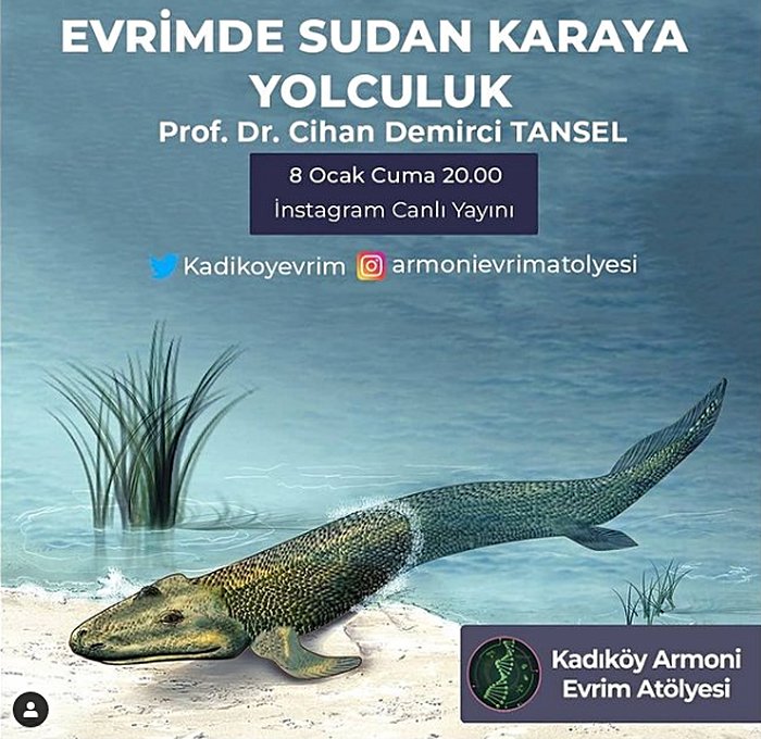 Evrimde Sudan Karaya Yolculuk - Prof. Dr. Cihan Demirci Tansel - Armoni Kadikoy Evrim Atolyesi