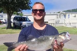 Oasis Fan’s Fatal Fall At Wembley Ruled Tragic Accident