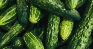 Widespread Cucumber Recall Sparks Salmonella Concerns Across U.S.