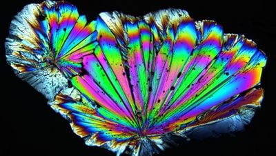 Polarizasyon Nedir? Işık Kaç Farklı Şekilde Polarize Olabilir?