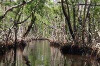 'Everglades Avenger' fights back against massive snakes taking over wetlands: 'They have to go' - NewsBreak