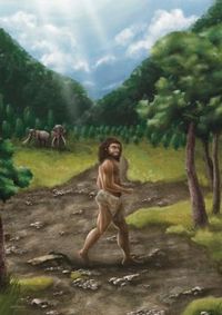 台湾にも「謎の人類」の化石　デニソワ人、広くアジアに分布 | 新潟日報デジタルプラス