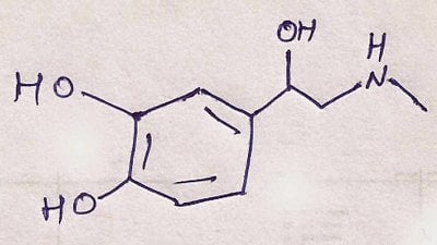 Adrenalin (Epinefrin) ve Noradrenalin (Norepinefrin) Nedir? Aralarında Nasıl Bir İlişki Vardır?
