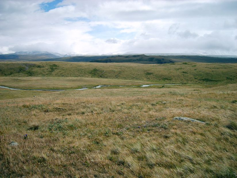 Ukok Platosu, Sibirya steplerine ait kuru ve sert iklimi ile tanınan bir bölge. Günümüzde UNESCO Dünya Doğal ve Kültürel Mirasları arasında bulunuyor.