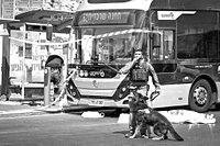 Six murdered in Jerusalem shooting by 'Palestinian resistance fighters'