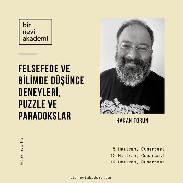 Felsefede ve Bilimde Düşünce Deneyleri, Puzzle ve Paradokslar