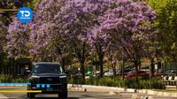 Calidad del aire CdMx HOY 18 de-abril 2025