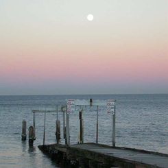 The Belt of Venus over Elwood Beach