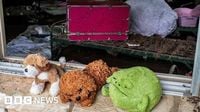 Camp Mystic: A girls' summer camp swept away by a 'horrific' deluge