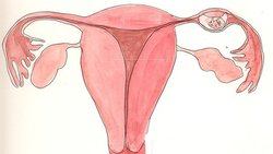 Ektopik Gebelik Nedir? Nasıl Tespit Edilir, Nasıl Tedavi Edilir?