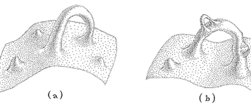 Şekil 14: Kuantum Köpüğü