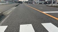 栃木・那須塩原で高校2年の女子生徒が軽乗用車にはねられ死亡　運転手の女（50）を現行犯逮捕 | TBS NEWS DIG