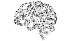 Müzik, Neden "Beynin Gıdası" Olarak Bilinir?