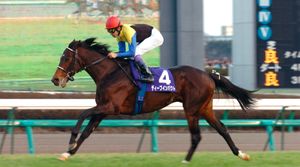 Unpredictability Looms Over Nakayama Kinen 2025 Predictions