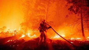 Wildfires Rage Across South America Triggering Urgent Global Response