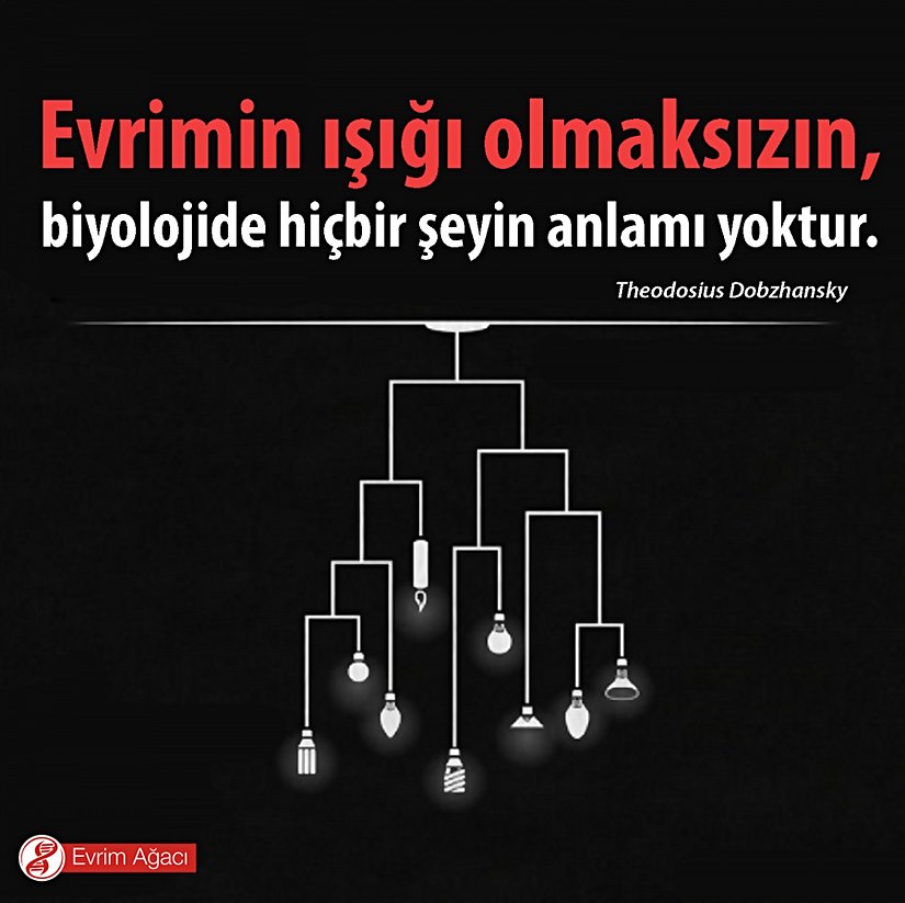 "Evrimin ışığı olmaksızın, biyolojide hiçbir şeyin anlamı yoktur."