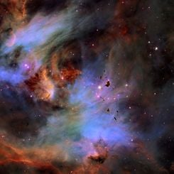  Globules in the Running Chicken Nebula 