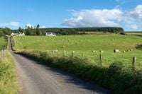 Scottish government accused of 'junk law' over Land Reform Bill