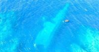 New Zealand will compensate Samoa $3.6M for a navy ship wreck a year after the vessel sank