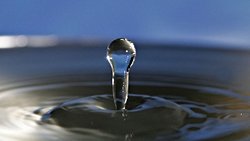 Kapımıza Dayanan Tehlike