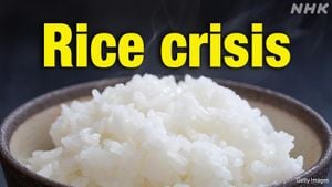 Japan Responds To Rice Crisis With Urgent Reserve Release