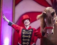 LA SEYNE SUR MER : Rêves de cirque, jusqu’à dimanche esplanade Marine - Presse Agence