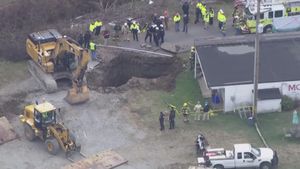 Pennsylvania Grandmother Missing After Search For Cat Leads To Sinkhole