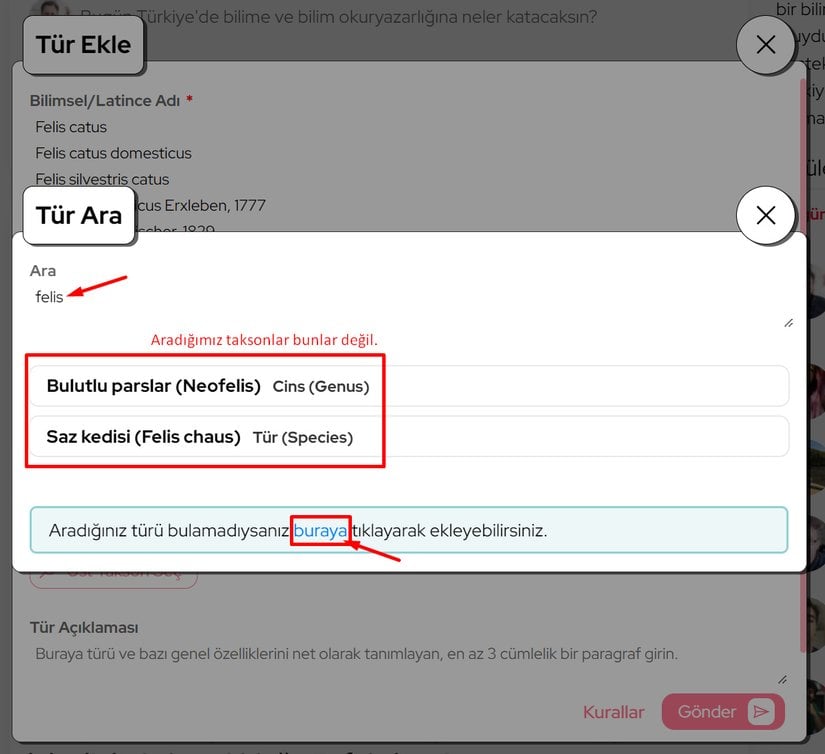 Eğer aradığınız takson henüz girilmediyse, alttaki "buraya" yazan linke tıklayarak bir üst takson katmanını açabilirsiniz.