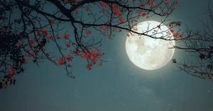 Flower Moon Shines Bright On May 12, 2025