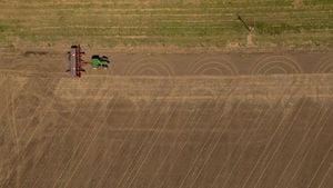 Argentina Bailout Sparks Uproar Among U S Soybean Farmers