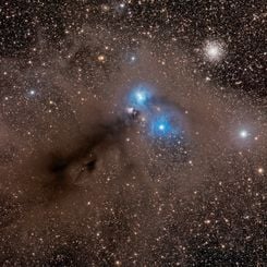 Stars and Dust Across Corona Australis